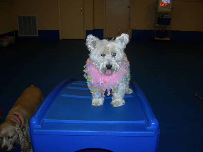DSCN4905.jpg