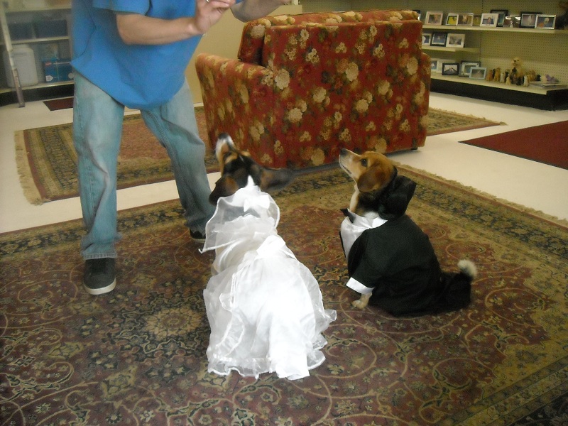 DSCN1229.jpg